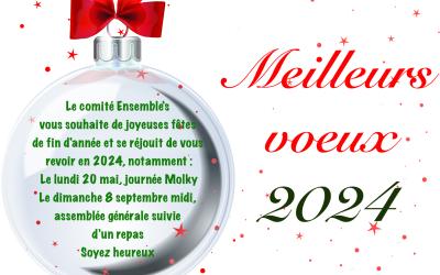 Meilleurs Voeux 2024