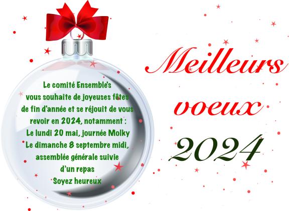 Meilleurs Voeux 2024